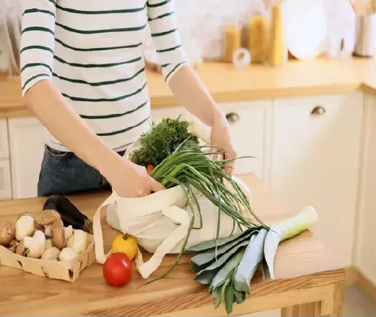 Curso de nutrição vegetariana e vegana