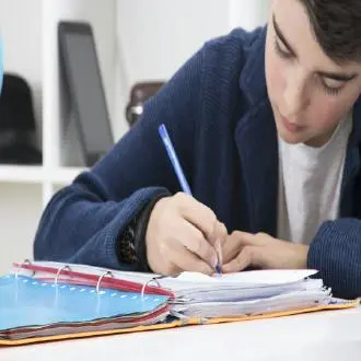 Bullying e saúde mental na infância: como detetar e agir
 - psicologia infantil juvenil