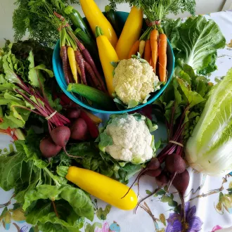 Como equilibrar os macronutrientes numa dieta para endomorfos - dietas endomorfos