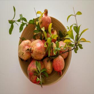 Cozinha vegana - nutricao holistica