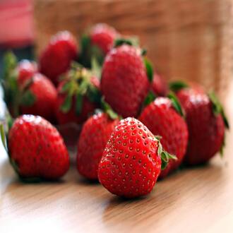 Curso online de dieta cetogénica para melhorar a saúde hormonal