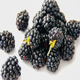 Geriatria e gerontologia - nutricao geriatria
