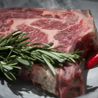 Impacto da dieta carnívora na digestão - nutricao carnivora