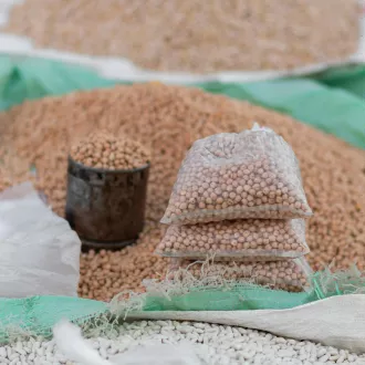 Os melhores alimentos vegetarianos para obter proteínas - nutricao vegetariana