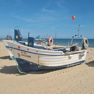 Suplementação vegana - nutricao vegetariana