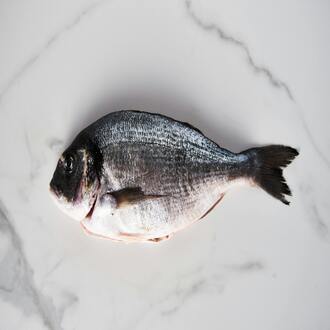 A dieta carnívora é sustentável? - nutricao carnivora