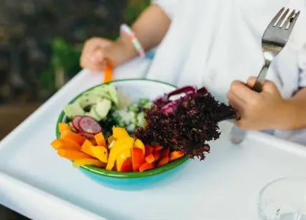 Bem-estar e alimentação vegetariana - nutricao vegetariana