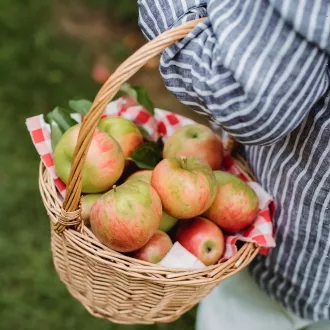 Conselhos nutricionais para mulheres grávidas - nutricao