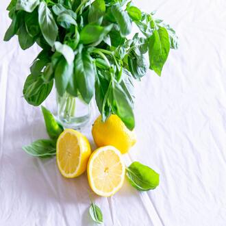 Curso online de nutrição para endomorfos américa latina - dietas endomorfos