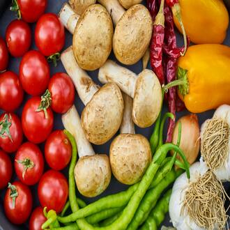 Curso online de nutrição para endomorfos económico - dietas endomorfos