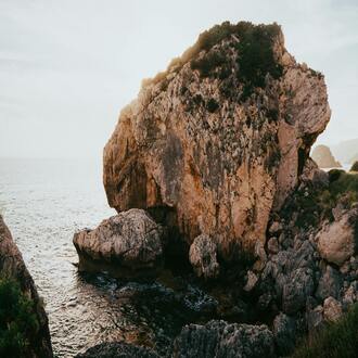 Curso online de nutrição para endomorfos exemplos - dietas endomorfos