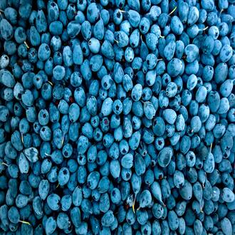 Curso online sobre alergénios e intolerâncias alimentares para residências