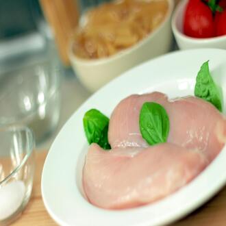 Curso online sobre nutrição carnívora para crianças - nutricao carnivora