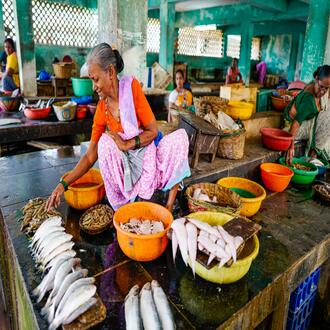 Dieta carnívora e tiróide - nutricao carnivora