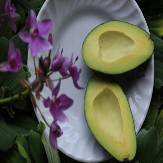 Dietas ricas em proteínas para endomorfos - dietas endomorfos