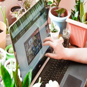 Existem cursos online baratos que oferecem diploma? -  cursos baratos online con certificado
