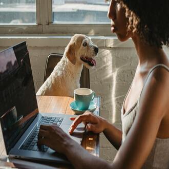 Oportunidades de cursos baratos: o seu futuro começa aqui! -  cursos baratos online con certificado