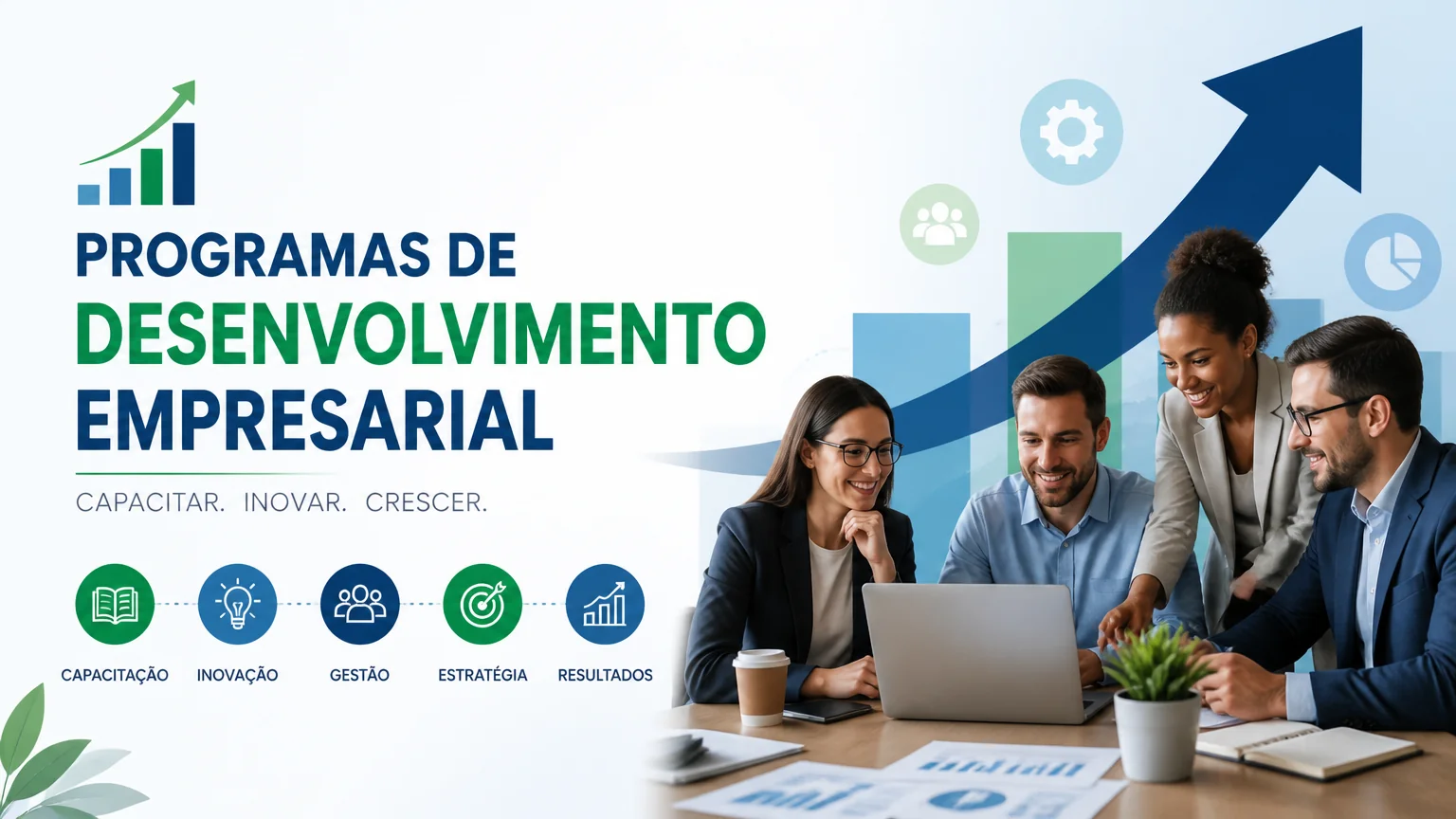 Programas de desenvolvimento empresarial
