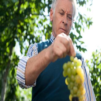 Que sinais de alerta indicam que um idoso precisa de apoio nutricional? - nutricao geriatria