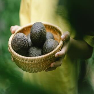Sarcopenia e alimentação - nutricao geriatria