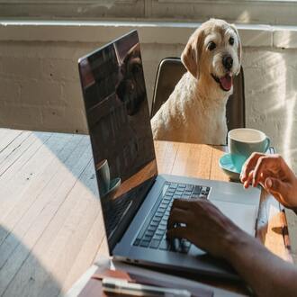 Ganga cursos online: seu guia para o aprendizado online acessível