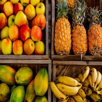 Onde posso encontrar um curso online de dieta cetogénica barato?
